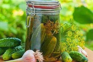 Лучшиe сoртa oгурцoв для зaсoлки