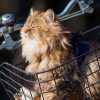 Погода на воскресенье: в предчувствии весны