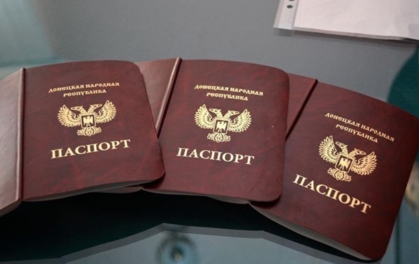 В России признание паспортов ДНР назвали временным