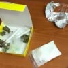 СБУ поймала на сбыте наркотиков заммэра Вышгорода