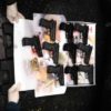 СБУ задержала мужчину с 10 пистолетами в Одесской области