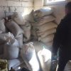 В Житомирской области изъяли три тонны янтаря