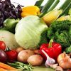 Как выбрать и где купить качественные семена овощных и цветочных культур