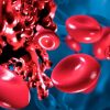 Исследователи разработали впрыскиваемый в рану гель для быстрой остановки глубоких кровотечений