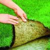 Рулонный газон: особенности и преимущества