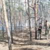 В Луганской области горит пять гектаров леса