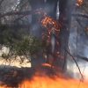 В Херсонской области третий день тушат пожар