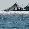 В Крыму продлили арест капитану задержанного украинского судна