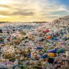 Химикам удалось синтезировать биоразлагаемую и биовозобновляемую пластмассу, которая может заменить пластмассы из углеводородов