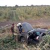 В Донецкой области легковушка врезалась в дерево, есть жертвы