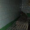 В тюрьме Винницы пытали осужденного — ГПУ