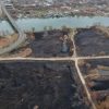 В Одесской области произошел масштабный пожар в заповеднике