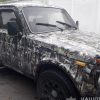 Женщина укусила полицейского в Чернобыльской зоне