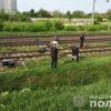 В Одесской области пассажирский поезд сбил насмерть пенсионерку