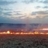 В Киевской области пожар уничтожил 10 гектаров пшеницы