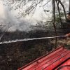 Лесной пожар начался на Херсонщине