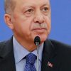 В Сенате США хотят ввести санкции против Эрдогана
