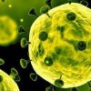 Что общего между коронавирусом и изменением климата?