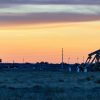 Сланцевая индустрия США станет первой жертвой ценовой войны на рынке нефти
