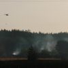 В Харьковской области зафиксировали еще один лесной пожар