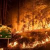 В США возросло количество жертв пожаров — СМИ