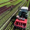 Украина не полностью использует свой аграрный потенциал