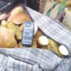 В зоне ЧАЭС полиция изъяла 60 кило грибов