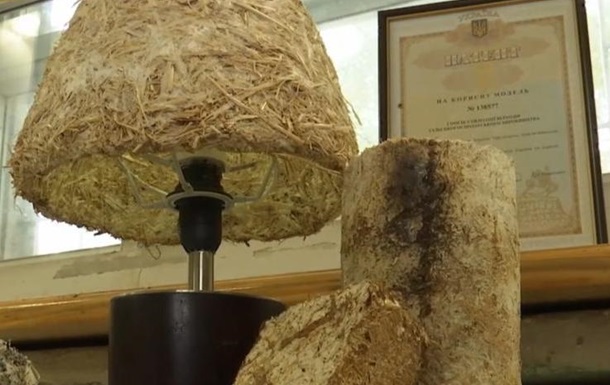 Ученые из Херсона создали грибной пластик