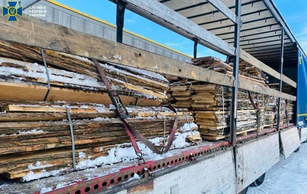 СБУ предотвратила незаконный экспорт красного дерева в ЕС