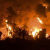 В Греции задержаны более 100 человек за поджоги лесов