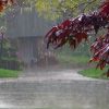 Погода на неделю: жару в Украине сменят дожди с грозами