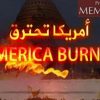 Аль-Каида предрекает Америке «последнюю гражданскую войну»