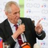 В Чехии требуют передачи полномочий главы страны
