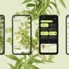 Google презентовал операционную систему Android 12